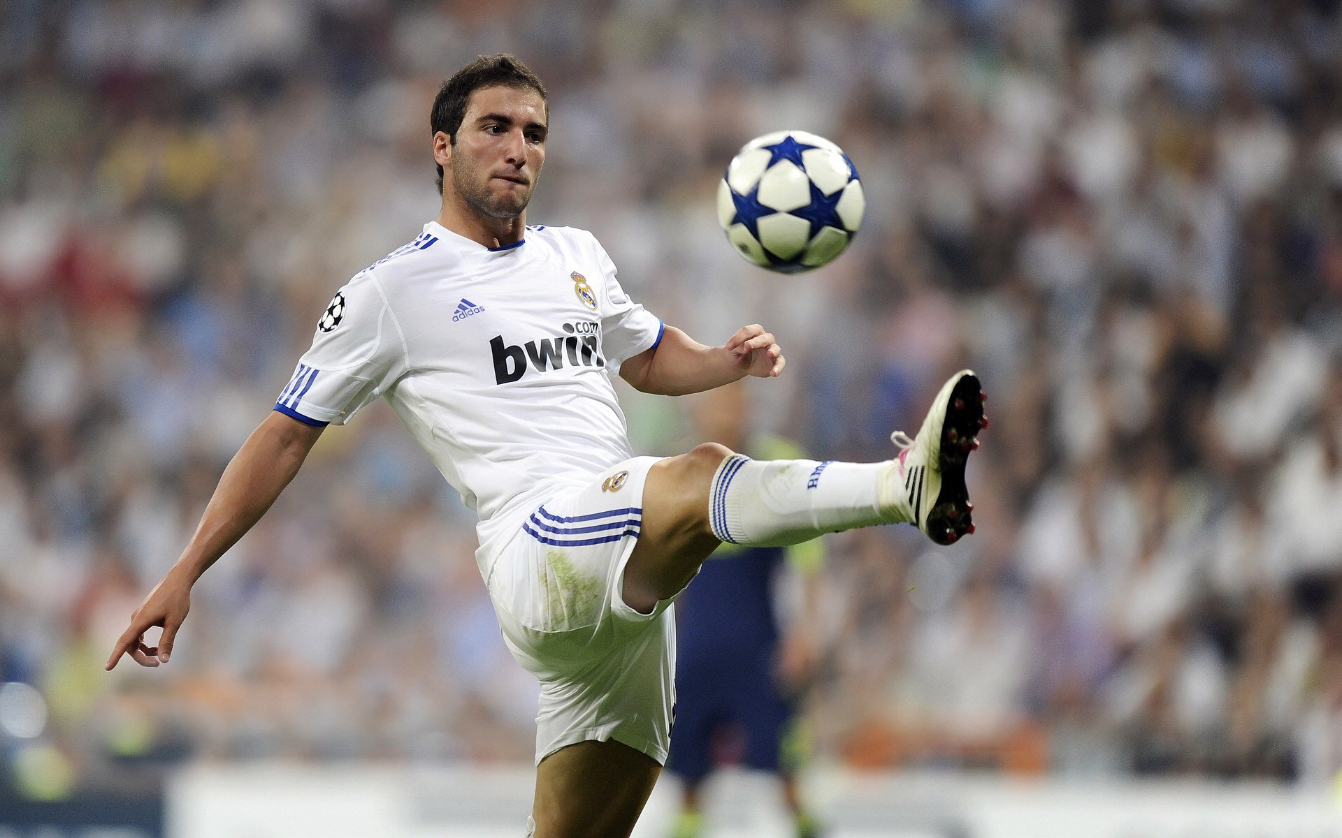 澳大利亚袋鼠队的精确进攻与快速反击形成完美组合，你知不知道澳大利亚的袋鼠打人 你知在乎你自己