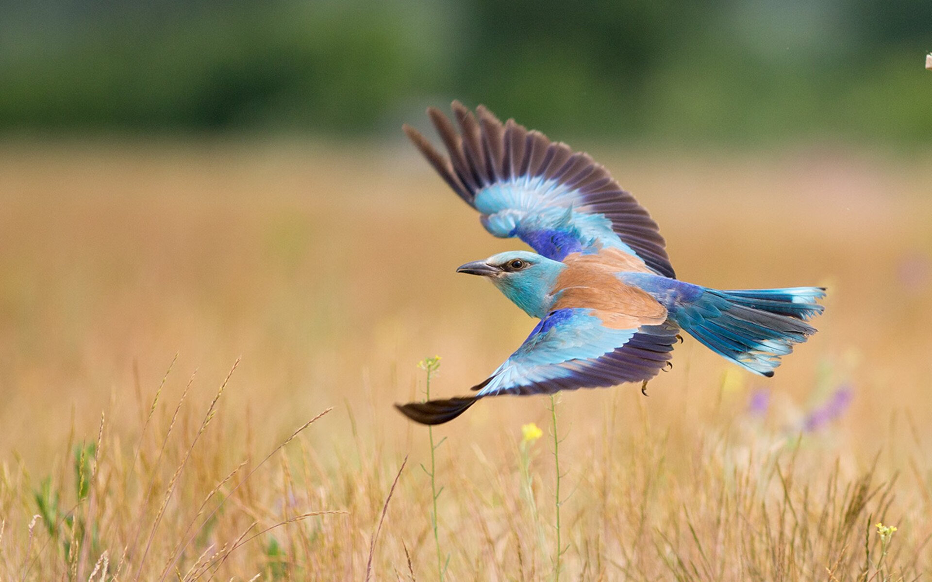 全国青少年“篮球+环保”公益赛在长春顺利举行,倡导绿色发展,青少年篮球大赛